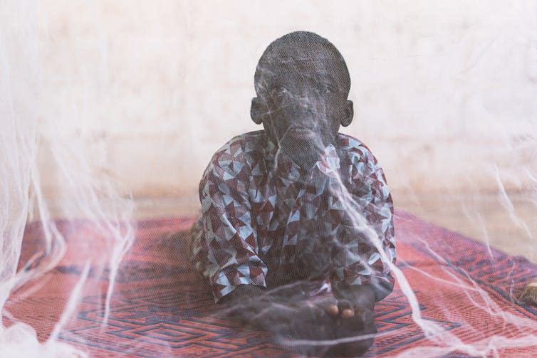 Boy under a bed net