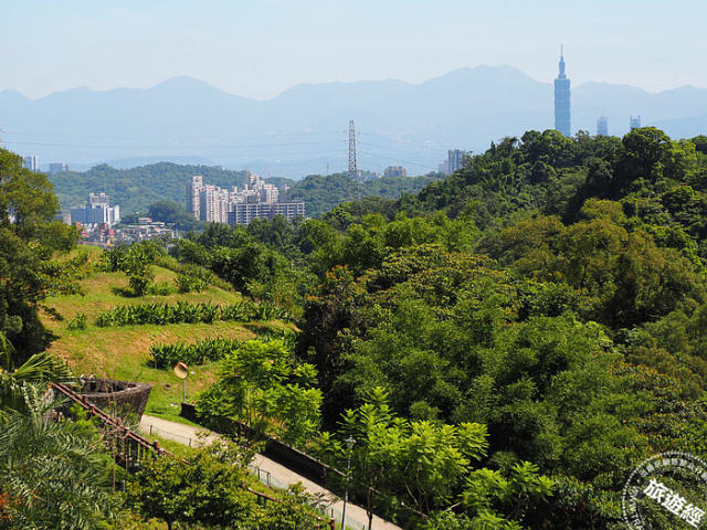 隱身臺北城南旅遊新亮點農村秘境──綠竹筍產地文山區老泉里！