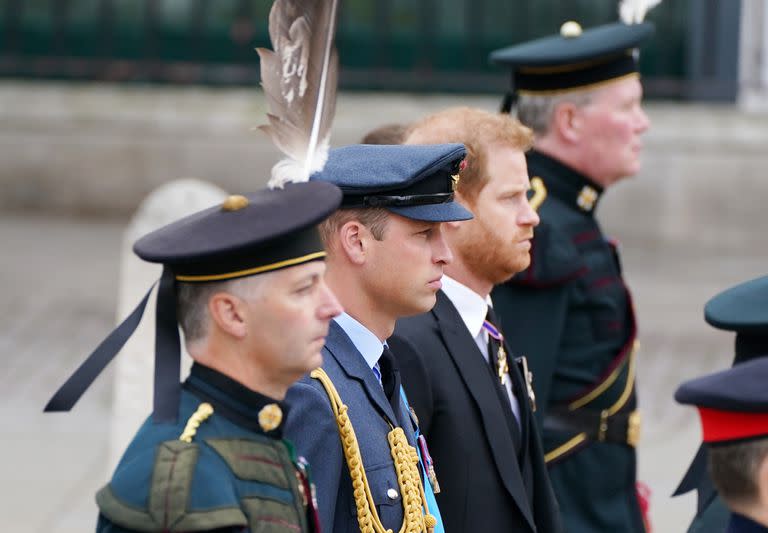 El Príncipe Guillermo y Harry, el Duque de Sussex