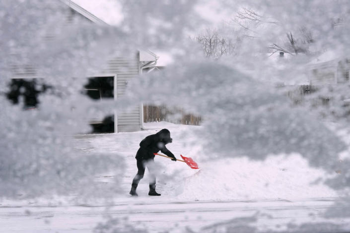 Through snow-laden branches, someone in a hooded jacket tries to clear a path in front of a house with a red plastic shovel.