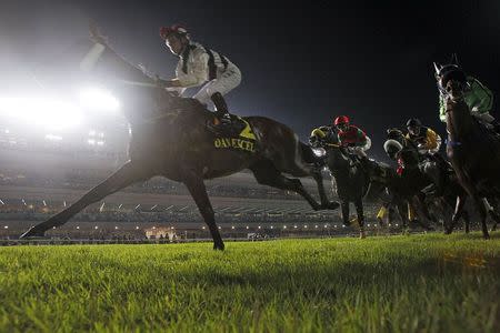 Australian jockey Tommy Berry rides Dan Excel to victory during the Singapore Airlines International Cup horse race at the Singapore Turf Club May 17, 2015. REUTERS/Edgar Su