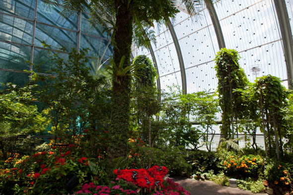 Singapore's Changi Airport Butterfly Garden is designed to