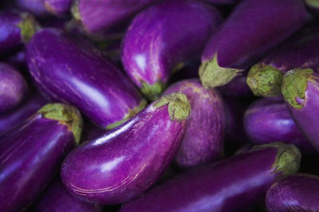 Close-up of eggplants