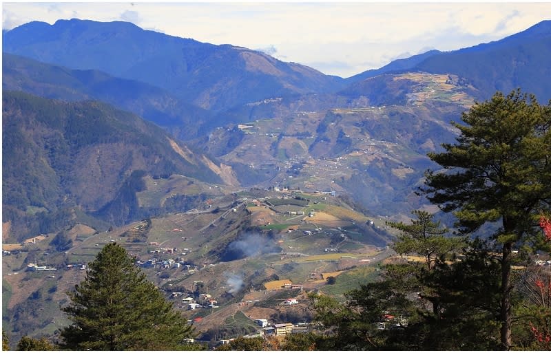 福壽山農場千櫻園