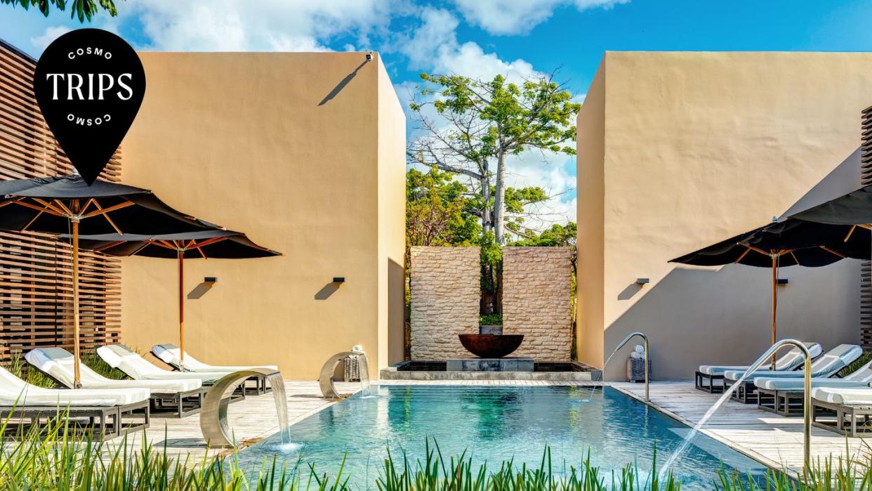 a pool with a tree in the background