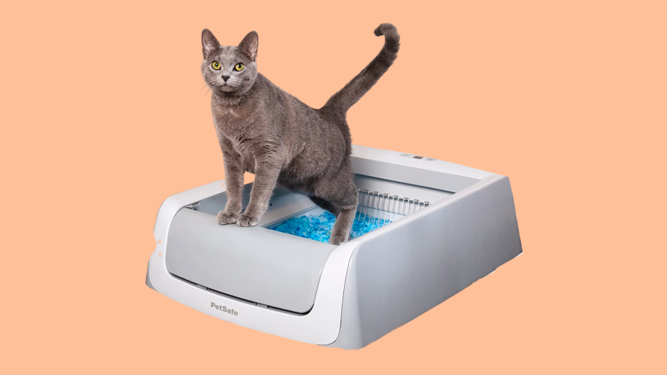 Once you upgrade your cat's traditional litter box to the ScoopFree Self-Cleaning Litter Box, you'll never go back.