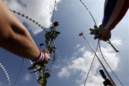 Anti-government protesters give roses, through razor wire, to the security personnel guarding the Defense Ministry as protesters gather outside it in Bangkok November 28, 2013. REUTERS/Kerek Wongsa