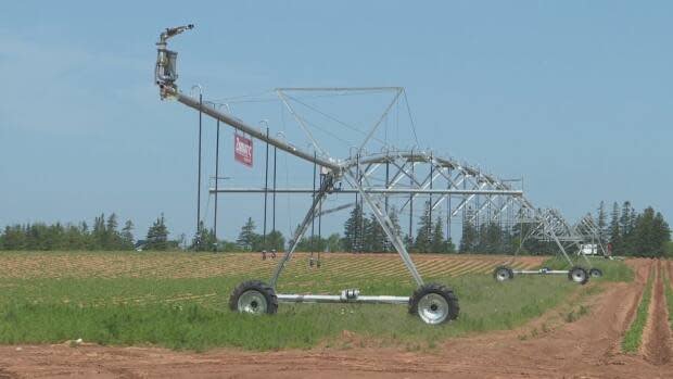 P.E.I. placed a moratorium on new high-capacity irrigation wells in 2002. The new Water Act effectively ended the moratorium, but applicants would need to comply with the province's new irrigation strategy, which the minister says is in development. (Brian Higgins/CBC - image credit)