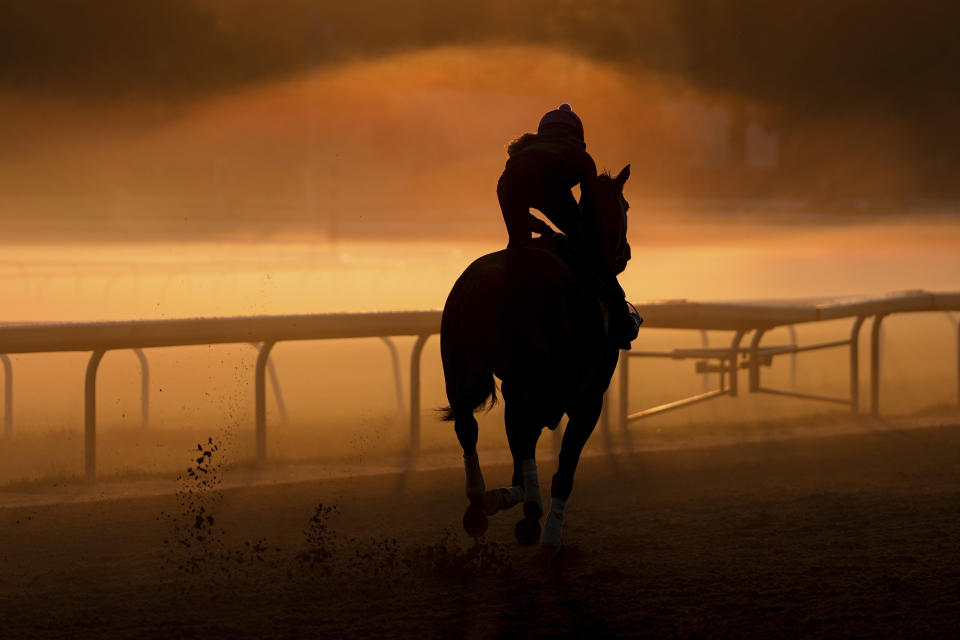 A horse works out ahead of the 156th running of the Belmont Stakes horse race at Saratoga Race Course, Wednesday, June 5, 2024, in Saratoga Springs, N.Y. (AP Photo/Julia Nikhinson)