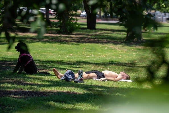 A resident and his dog sunbath at Zilker Park on June 27, 2023 in Austin, Texas (AFP via Getty Images)