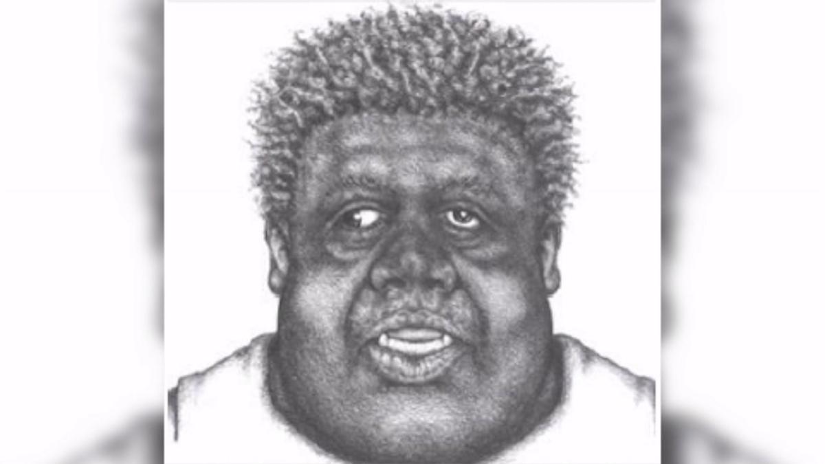 Police Release Sketch Of Man Accused Of Abducting Sexually Assaulting Teen Girl 5641