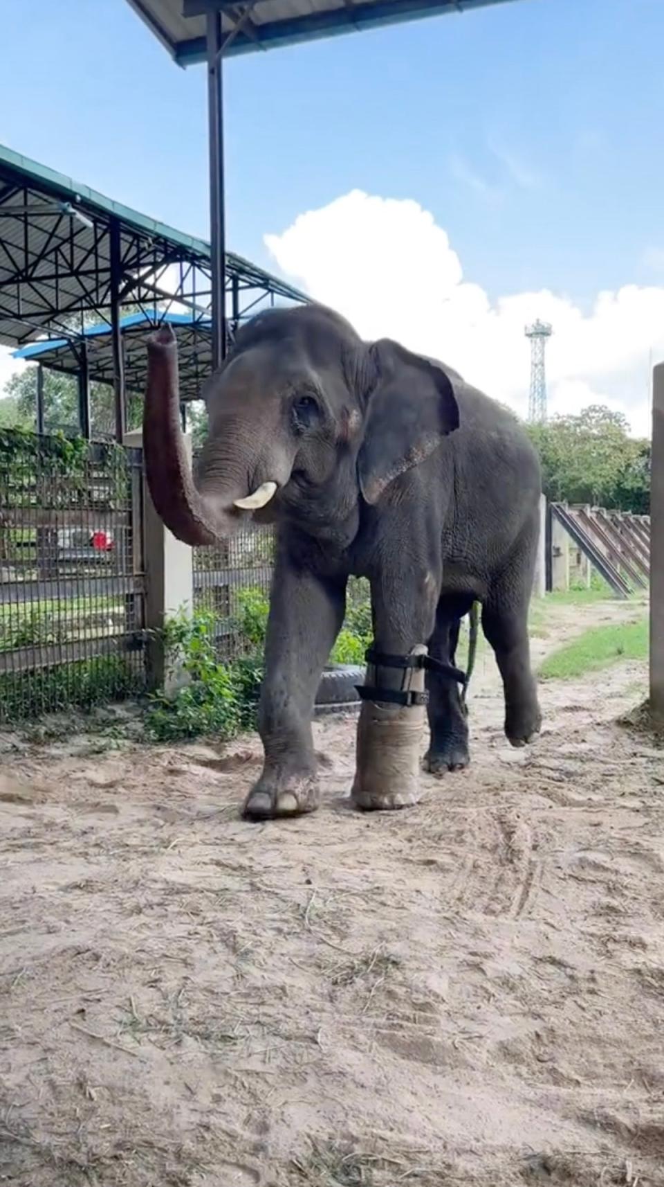 Chhouk needs a new prosthetic foot every six months (Cam Whitnall / SWNS)