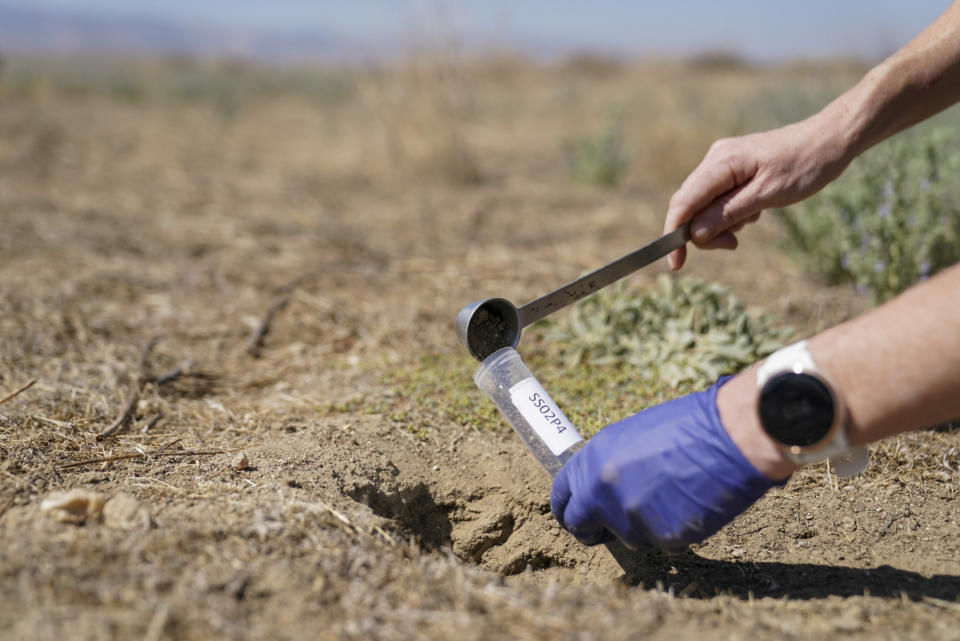 Jennifer Head gathers a sample from a rodent hole in the Carrizo Plain National Monument in Santa Margarita, Calif. on Sept. 22.