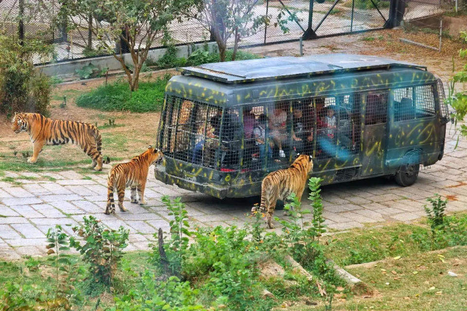 北上好去處｜深圳/廣州/珠海景點門票優惠低至半價 野生動物園$99/熱雪奇蹟滑雪場$232起