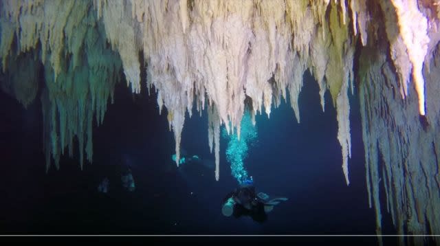 World S Largest Underwater Cave Discovered In Depths Of Mexico