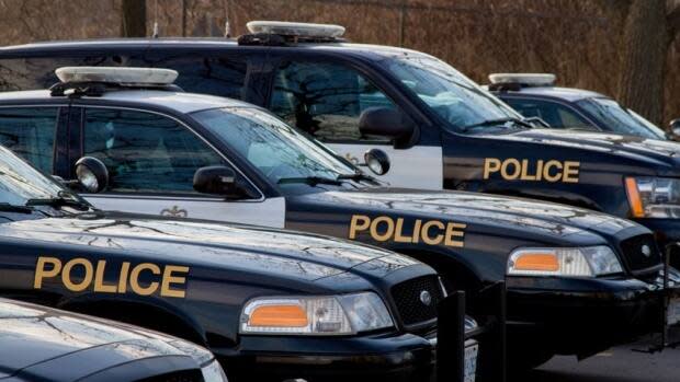 OPP said the owner of a business arrived at work to find 13 dump trucks damaged on May 10. (CBC - image credit)