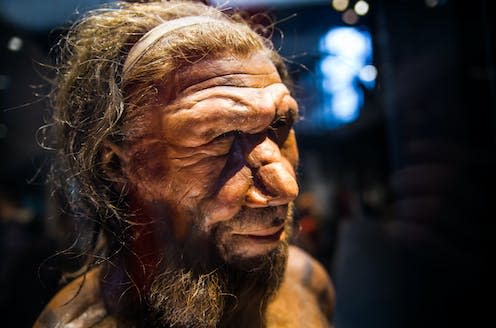 <span class="caption">Neanderthal adult male, based on 40,000 year-old remains found at Spy in Belgium.</span> <span class="attribution"><a class="link " href="https://www.shutterstock.com/image-photo/london-uk-march-11-2018-neanderthal-1130172149" rel="nofollow noopener" target="_blank" data-ylk="slk:IR Stone/Shutterstock;elm:context_link;itc:0;sec:content-canvas">IR Stone/Shutterstock</a></span>