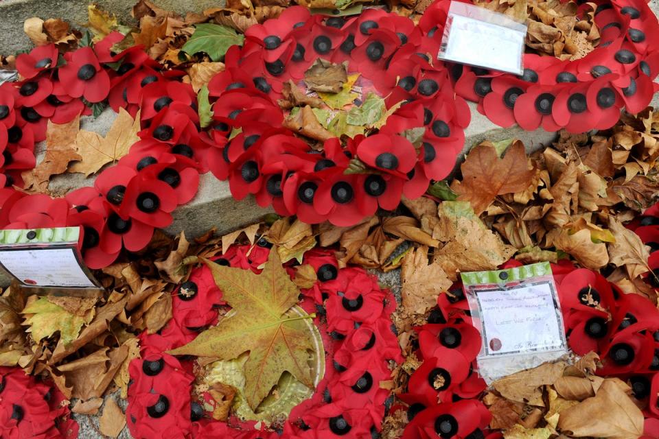 Poppy wreaths on display (Anthony Devlin/PA)