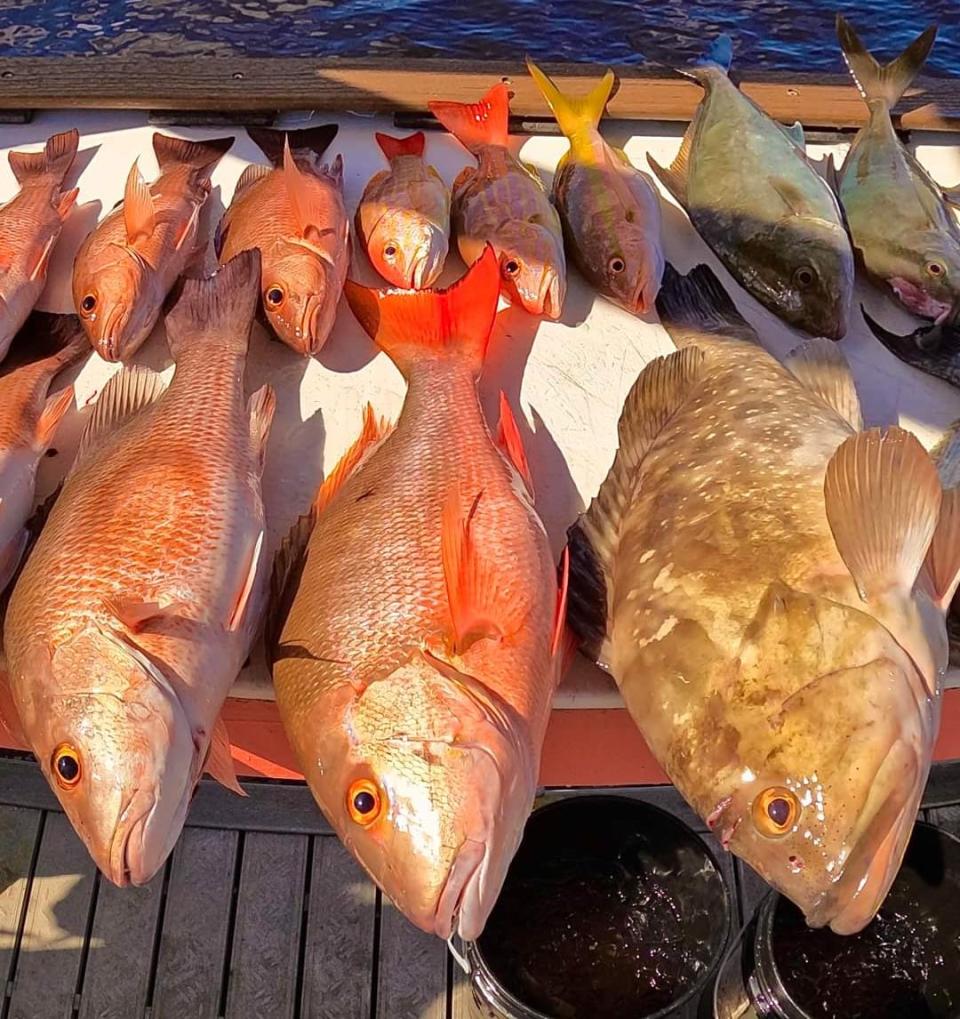 Anglers caught a mix of mutton snapper, vermilion snapper, lane snapper and red grouper on Oct. 16, 2022 aboard the Safari I partyboat out of Port Salerno.