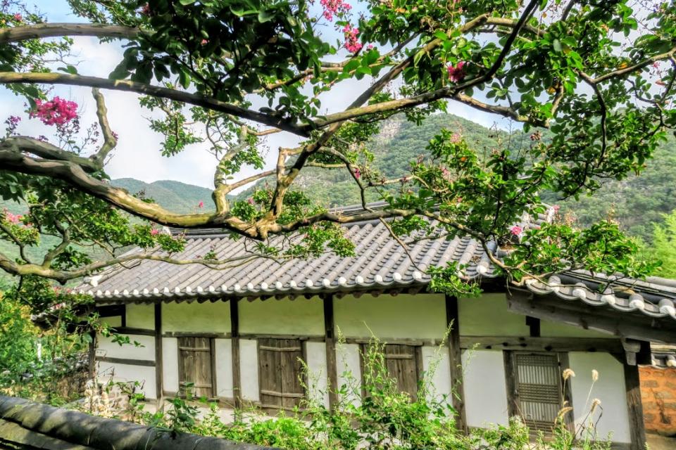 屏山書院 (Photo by Xlargebee, License: CC BY-SA 4.0, Wikimedia Commons提供)