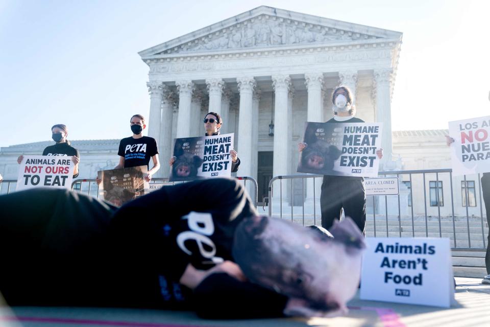 Demonstrators with PETA gather outside the Supreme Court. The Supreme Court on May 11, 2023 upheld a California animal welfare law that bans the sale in America's most-populous state of pork from pigs raised in confined conditions.