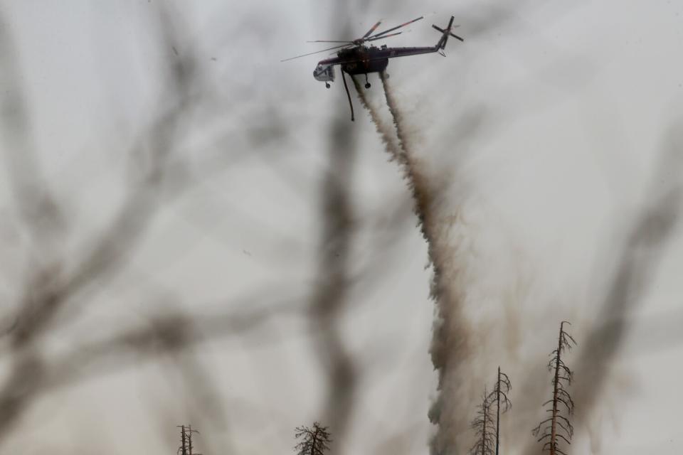 A firefighting helicopter is framed by the branches of charred trees as it drops water on the Oak fire