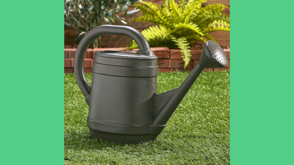 Tiffani Thiessen's picks: Watering Can