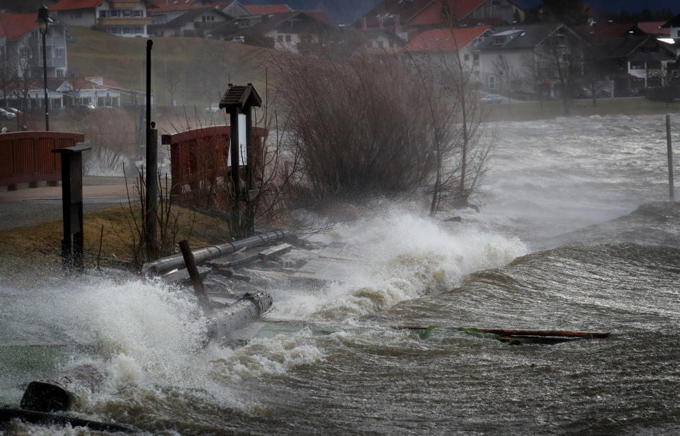 (Photo by Karl-Josef Hildenbrand/picture alliance via Getty Images)