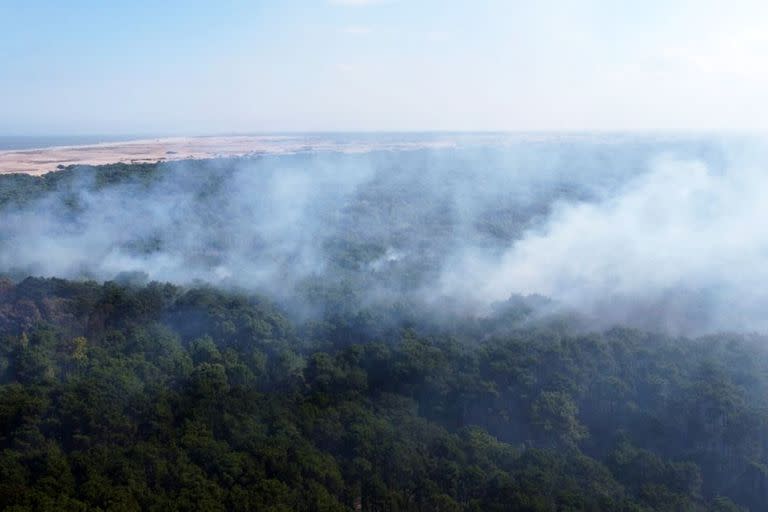 Vista aérea, con el mar de fondo, del incendio en el bosque de Cariló