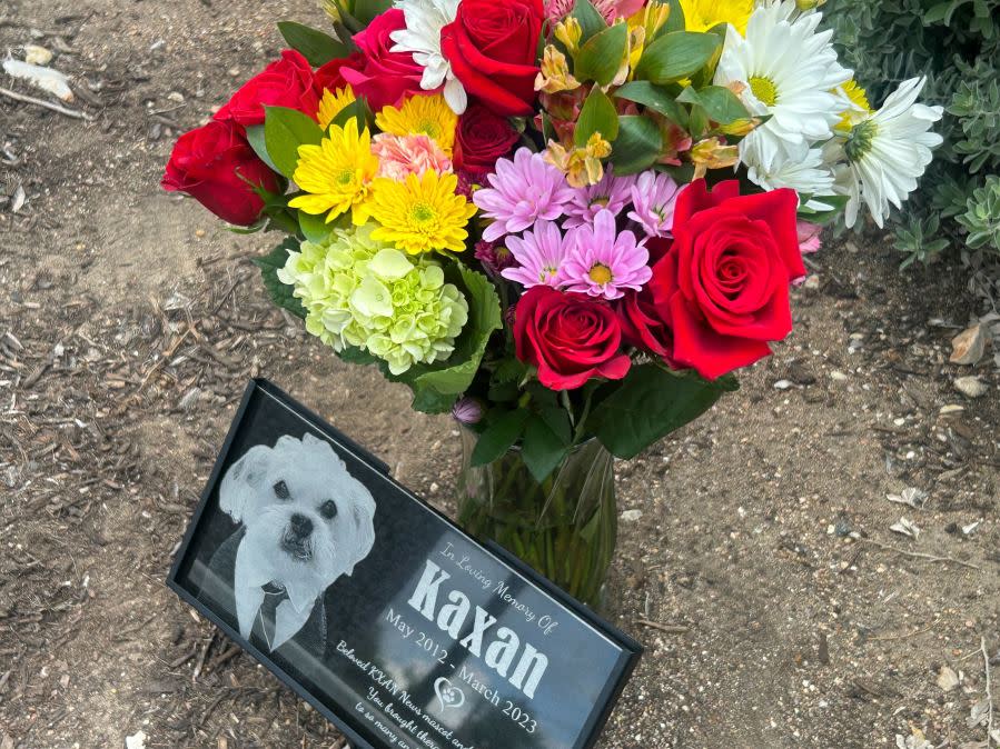 KXAN dedicated a garden in memory of Kaxan, the station's mascot, on June 13, 2024. Kaxan died in 2023. He was named the state's top therapy dog in 2019. (KXAN Photo/Frank Martinez)