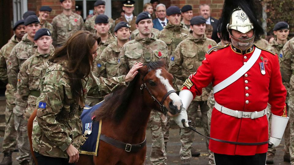 Princess Kate stroking a horse