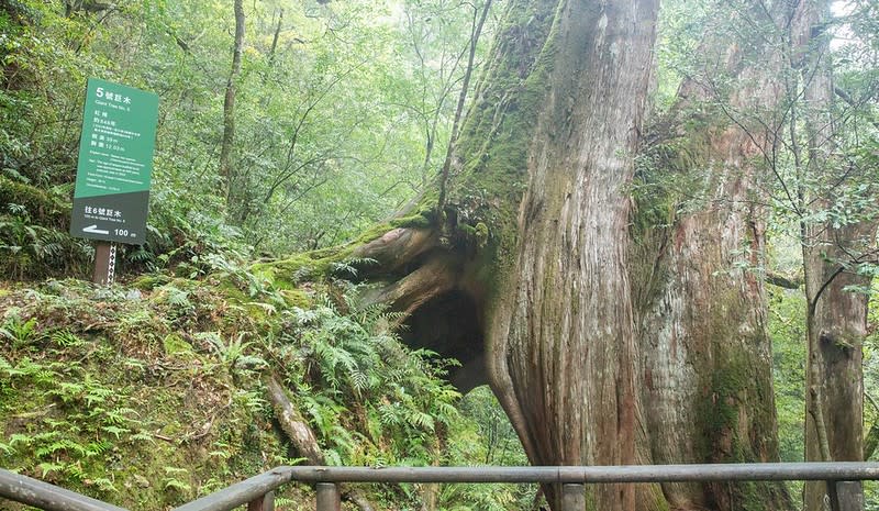 桃園拉拉山