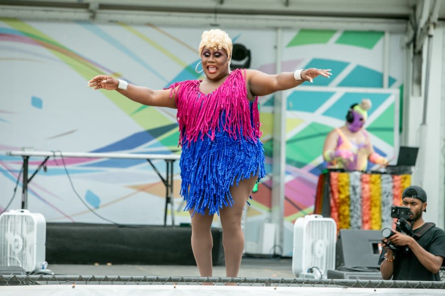 Grand Rapids Pride Festival on Saturday, June 22, 2024. (Michael Buck/WOOD TV8)