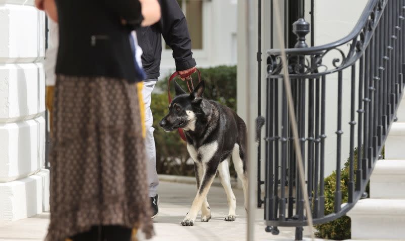 FILE PHOTO: U.S. President Joe Biden's dog Major is walked on a leash at the White House in Washington