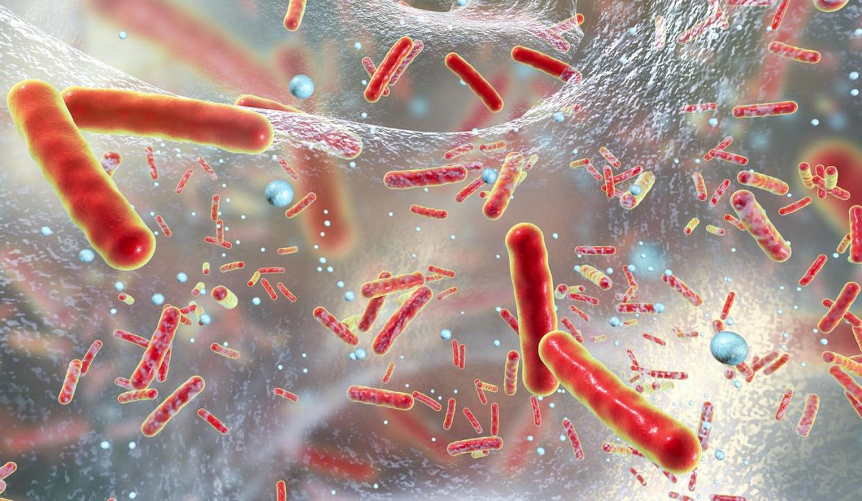 Bacterias englobadas en una matriz o biopelícula. <a href="https://www.shutterstock.com/es/image-illustration/antibiotic-resistant-bacteria-inside-biofilm-3d-732472438" rel="nofollow noopener" target="_blank" data-ylk="slk:Kateryna Kon / Shutterstock;elm:context_link;itc:0;sec:content-canvas" class="link ">Kateryna Kon / Shutterstock</a>