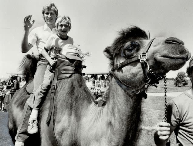 <p>Dick Loek/Toronto Star via Getty</p> Wayne Gretzky and brother Brent in 1981