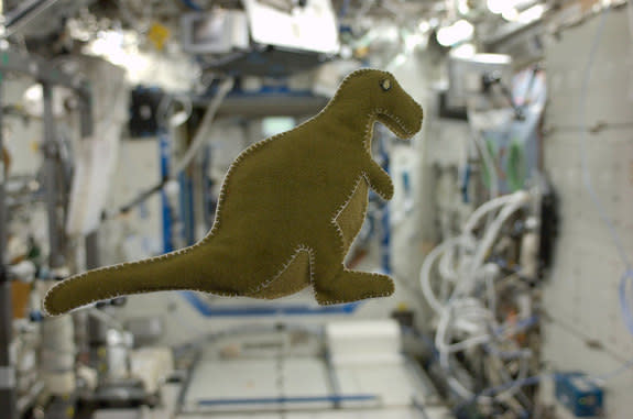 NASA astronaut Karen Nyberg's stuffed toy dinosaur floats on the International Space Station. She made the doll for her son using materials she found on the orbiting outpost