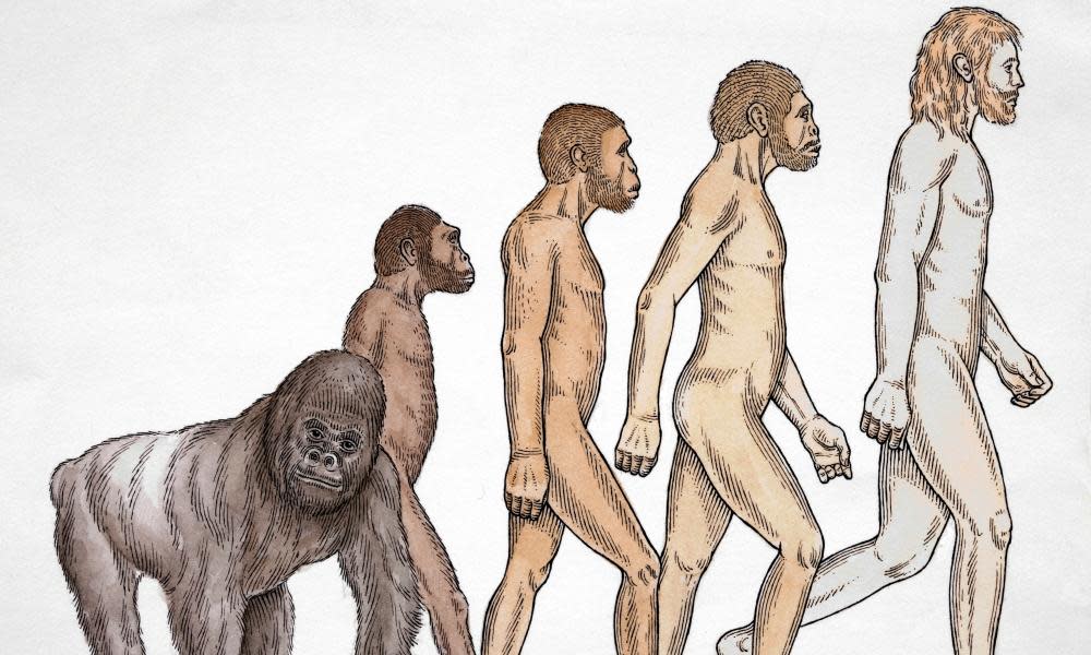 Human evolution from ape to modern man illustration