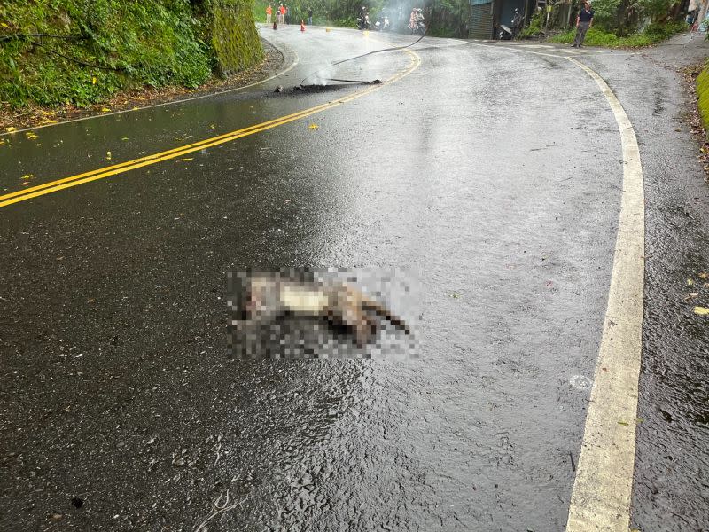 ▲疑因野生獼猴扯斷電線，導致3車追撞、上百戶停電。（圖／翻攝畫面）