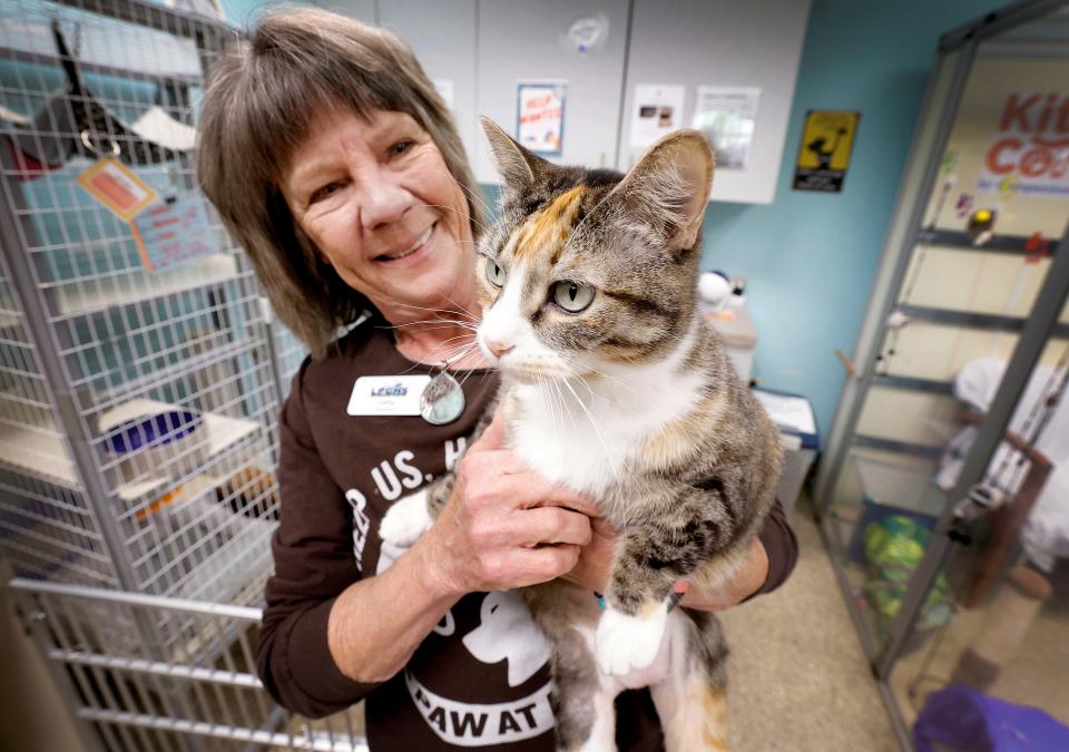 Cathy Roberts, a La Plata County Humane Society volunteer, holds Sarin on Wednesday. Sarin had been missing from its family in Topeka for the past three years before being found recently near Kline west of Durango, Colorado.