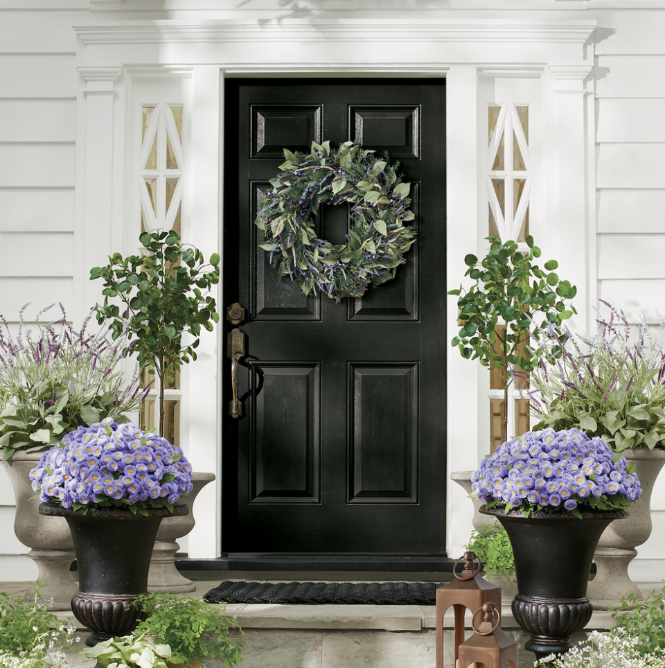 a black door with potted plants