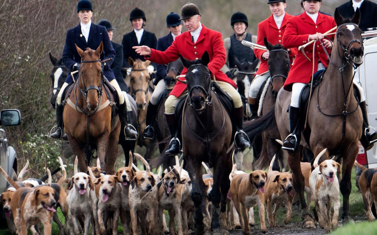 Hunters and horses gather in Eltisley, Cambridgeshire for the traditional Boxing Day Meet last year. - Telegraph Media Group