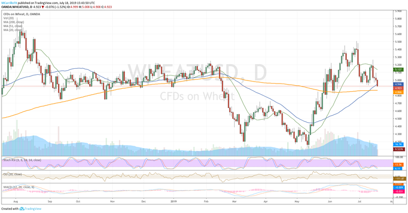 Price of wheat daily chart July 18