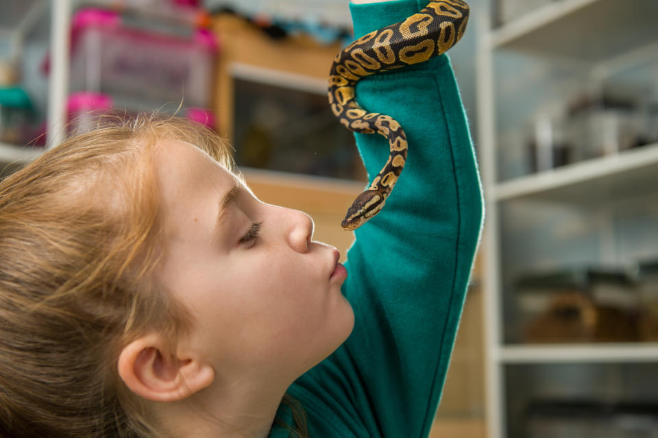 Meet the eight-year-old conservationist who loves spiders so much that she shares her bedroom - with more than 50 of them