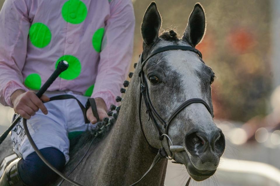 Lossiemouth won the Unibet Hurdle at Cheltenham back on January 27 (Getty Images)