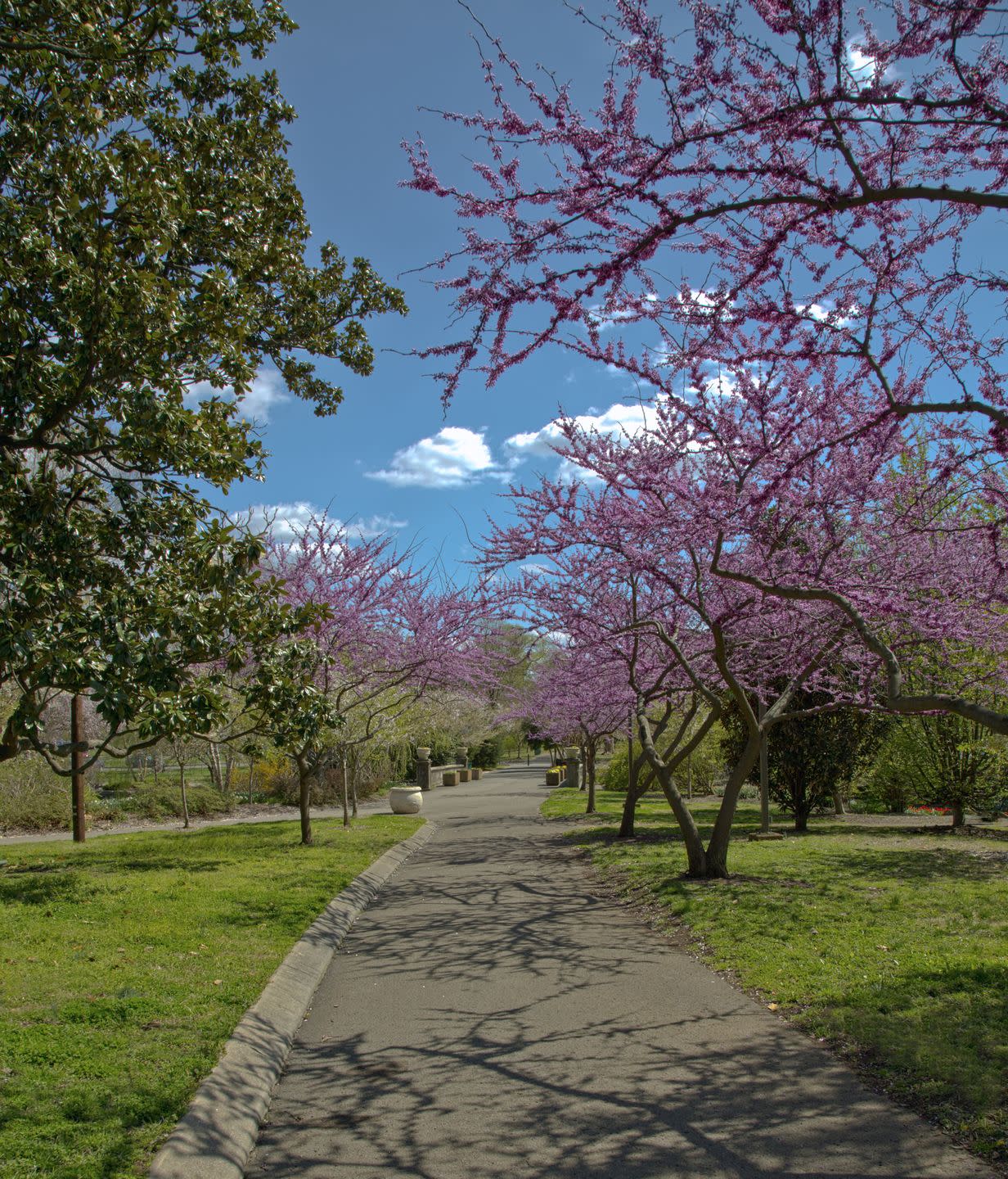 centennial park, nashville, tennessee