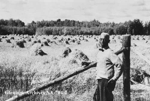 In this photograph from the late 1940's, farmer J. D. Edwards beside grain field, Amber Valley, Alberta.