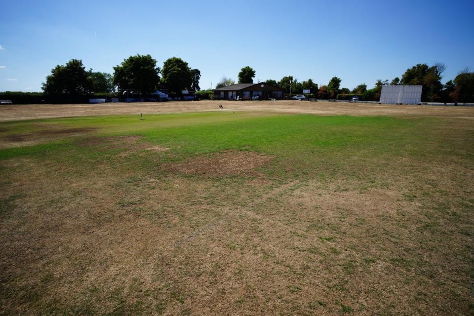 Parched grass at the cricket green in the village of Odiham in Hampshire (PA/Ben Birchall) (PA Wire)