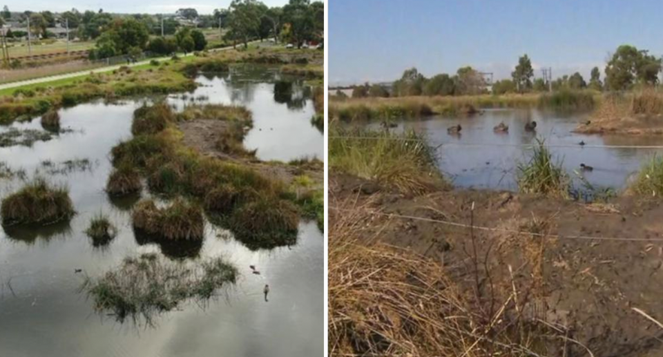 The Lagoon in Officer, Melbourne, where Ali Aminzadah drowned on Sunday. 