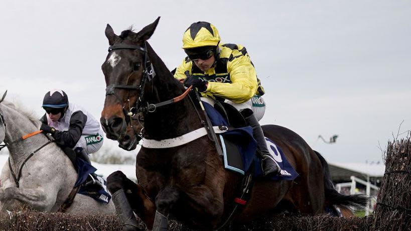 Shishkin during an outing at Aintree in April